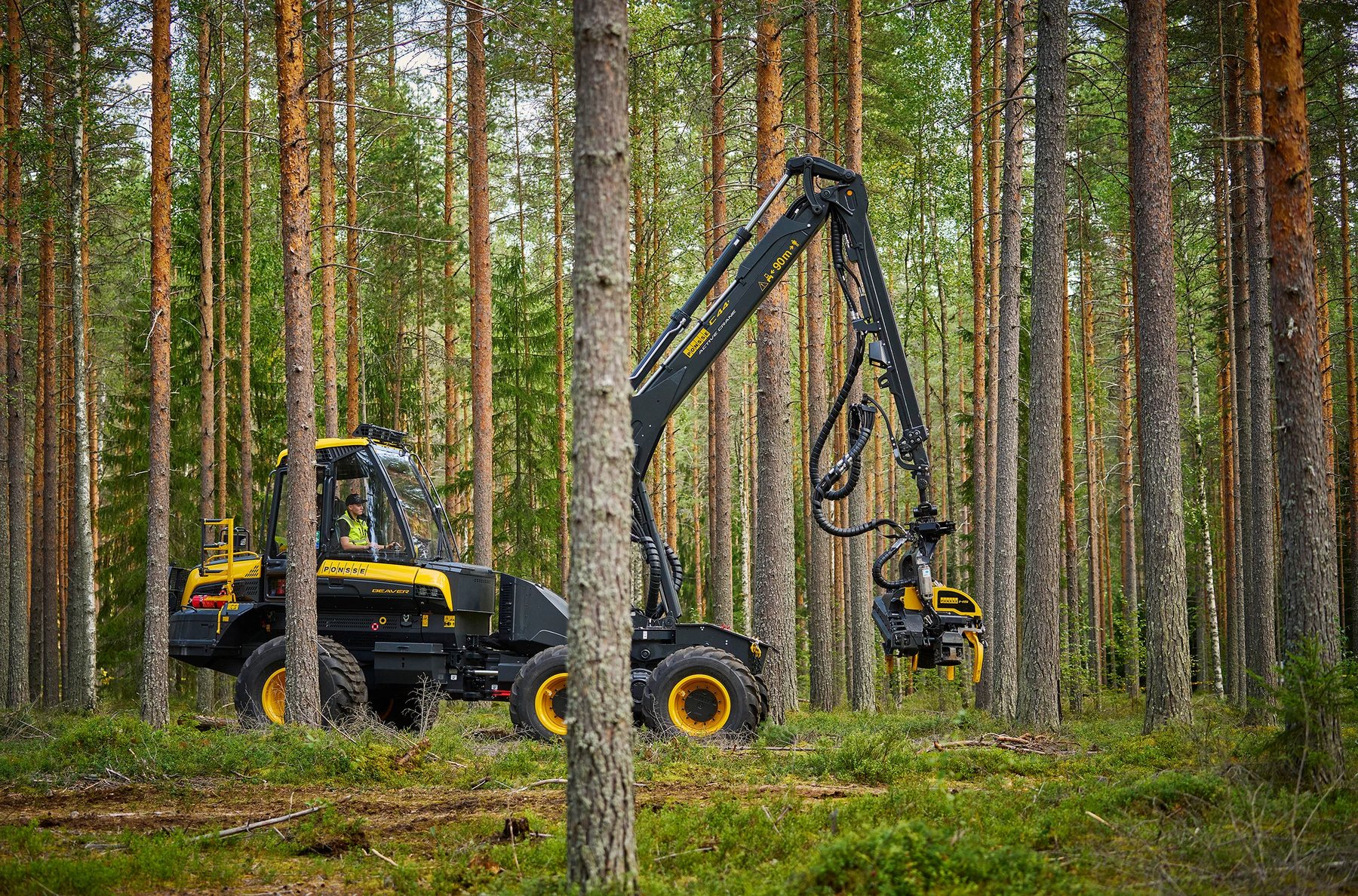 PONSSE Beaver: cosechadora forestal ágil de seis ruedas para terrenos exigentes